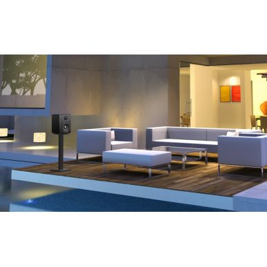 Активная полочная акустика Aurender S5W Black